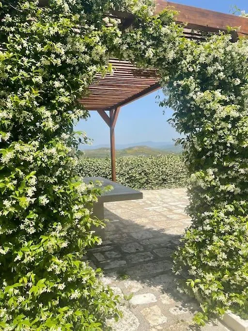 Green House Vlorë