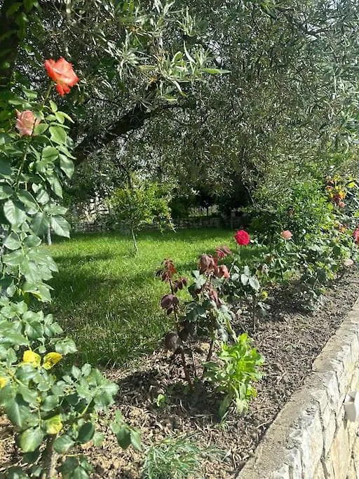 Villa Green House Vlorë Albanië