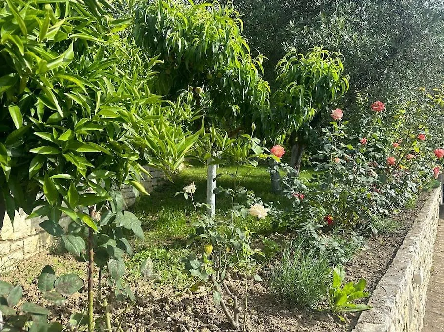 ヴィラ Green House Vlorë